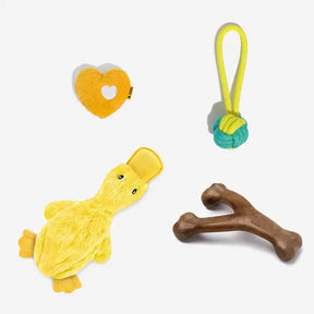 Ensemble de jouets interactifs à mâcher pour chien amusant