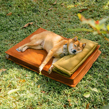 Lit pour chien anti-anxiété avec support en mousse pour sommeil profond