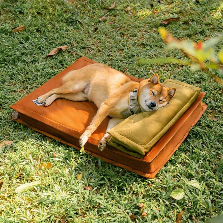 Lit pour chien anti-anxiété avec support en mousse pour sommeil profond