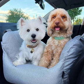 Siège auto pour Chien - Première Classe