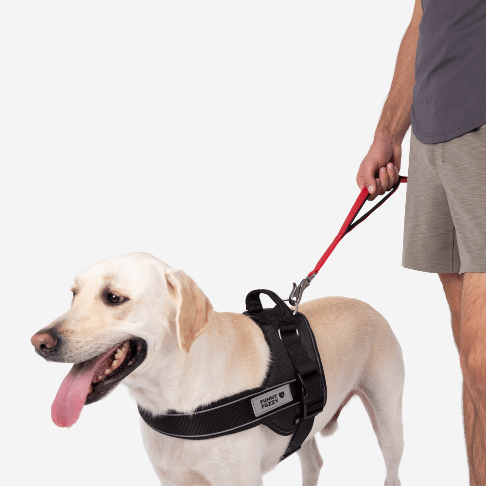 Ensemble Sport Walk | Laisse pour chien mains libres et harnais anti-traînée multifonction