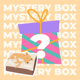 Boîte Mystère - Tapis Premium pour Animaux - Aléatoire - 1 pièce