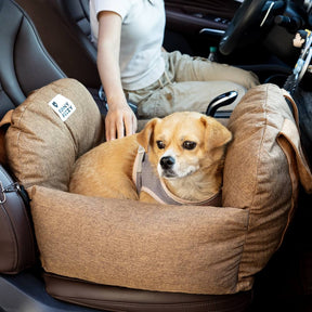 Siège auto pour Chien - Première Classe