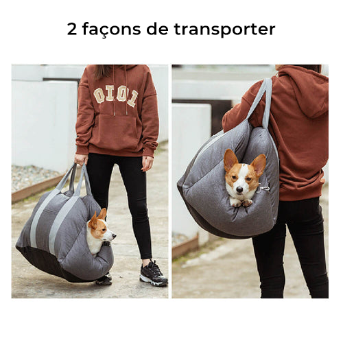 Siège auto pour Chien - Première Classe