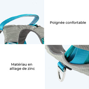 Kit de Marche Multifonction Confort Harnais et Laisse pour Grands Chiens Anti-Traction