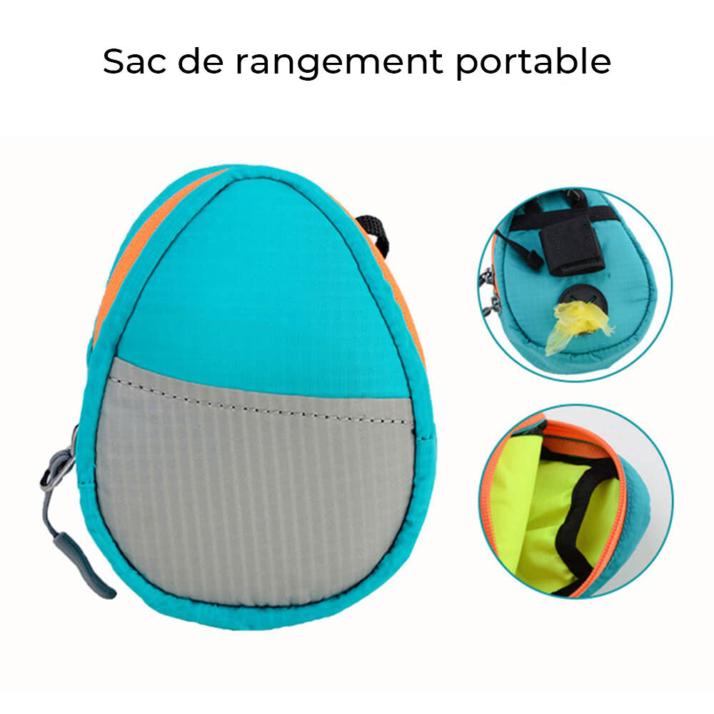 Kit de Marche Multifonction Confort Harnais et Laisse pour Grands Chiens Anti-Traction