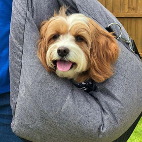 Siège auto pour Chien - Première Classe