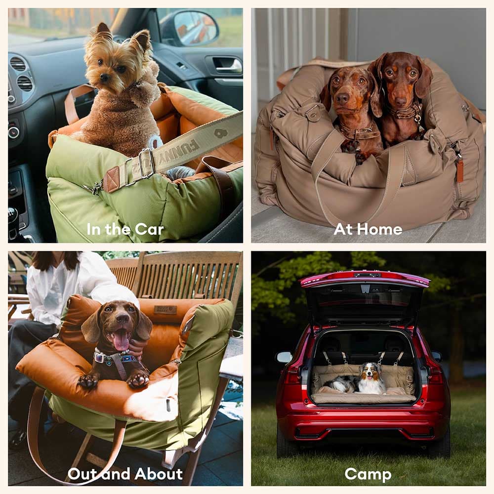 Siège auto pour chien ISOFIX Urban Voyager