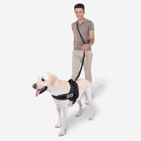 Ensemble Sport Walk | Laisse pour chien mains libres et harnais anti-traînée multifonction