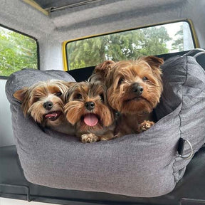 Siège auto pour Chien - Première Classe