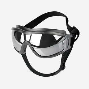 Lunettes de protection pour grand chien