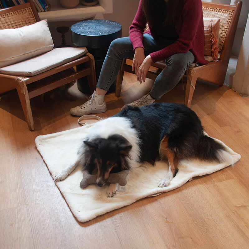 Tapis portable pour chien