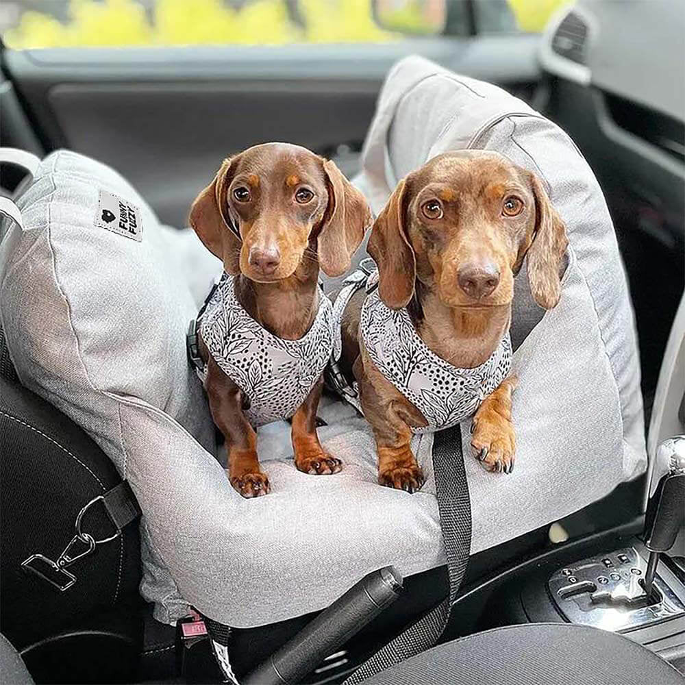 Siège de voiture pour chien à damier vintage et cœur