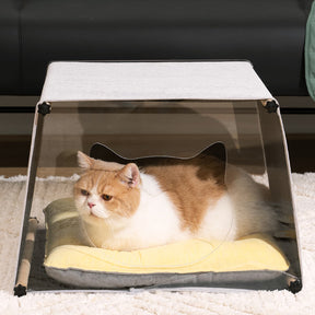 Maison d'intérieur en acrylique avec structure en bois massif pour chat