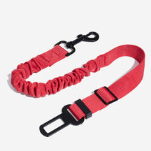 Ceinture de sécurité ajustable pour chien