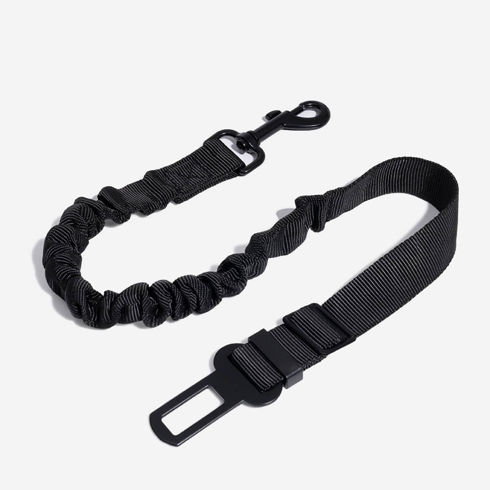 Ceinture de sécurité ajustable pour chien