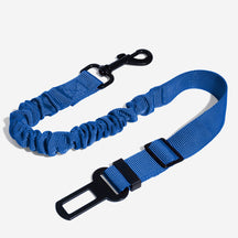 Ceinture de sécurité ajustable pour chien