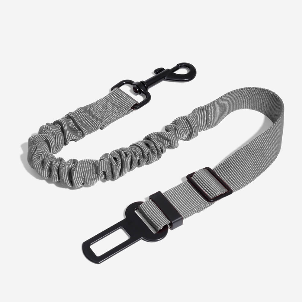 Ceinture de sécurité ajustable pour chien