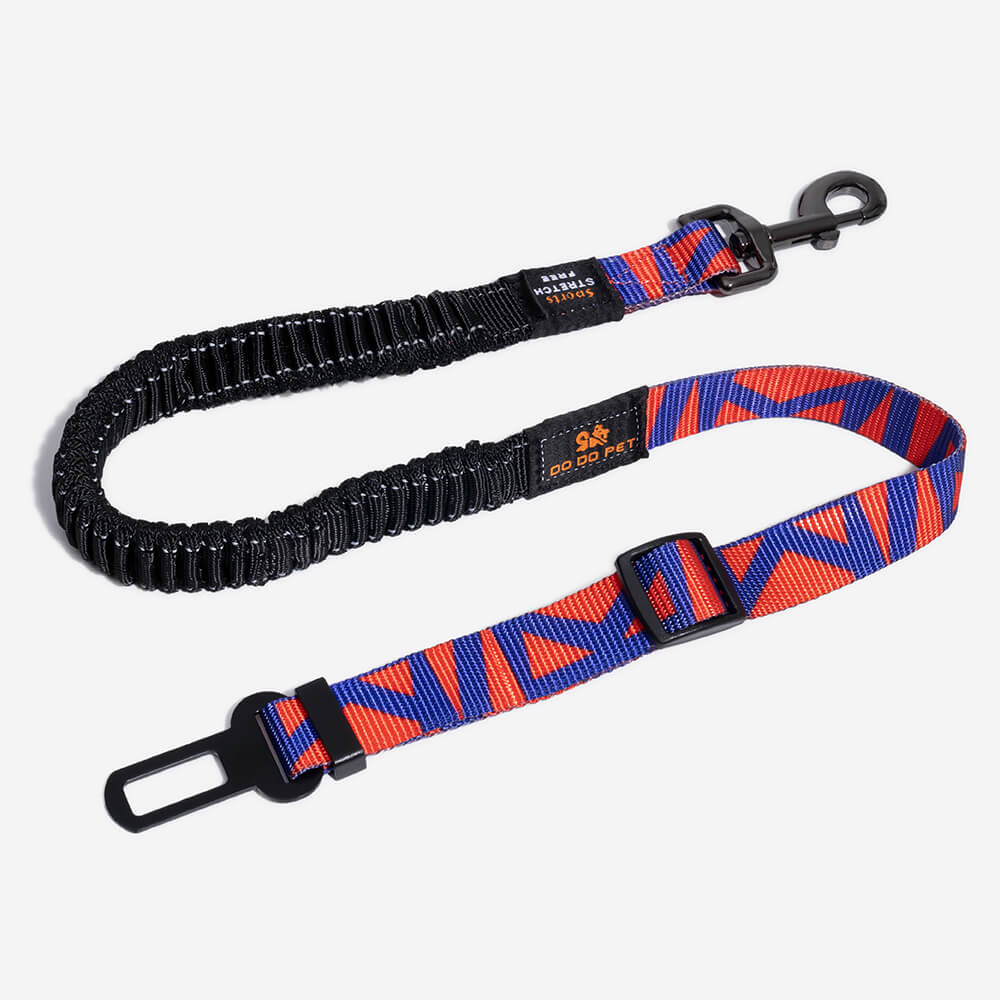 Ceinture de sécurité pour chien ajustable et colorée