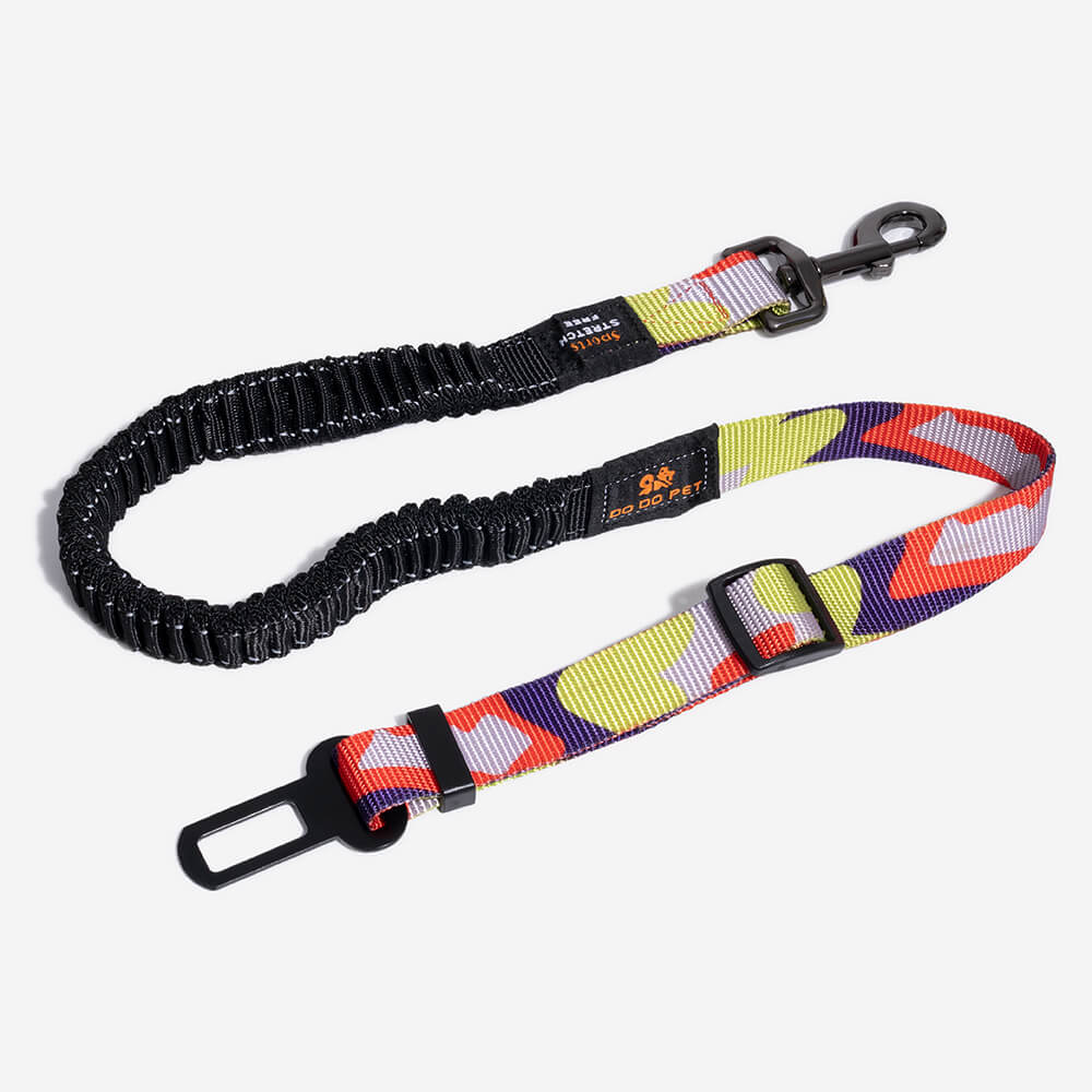 Ceinture de sécurité pour chien ajustable et colorée