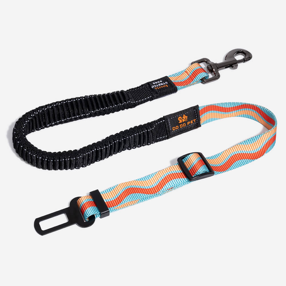 Ceinture de sécurité pour chien ajustable et colorée