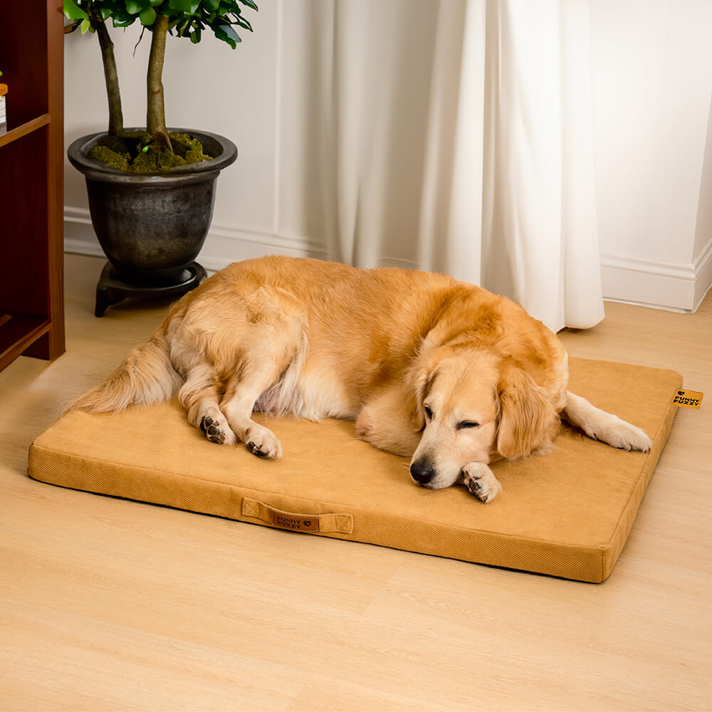 Lit de soutien orthopédique portable pour chien