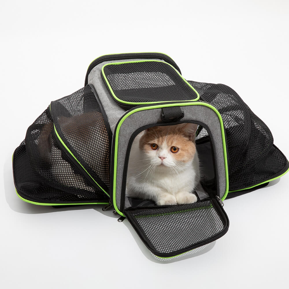 Tente de Camping pour Chat avec Sac à Dos Transformateur Pro