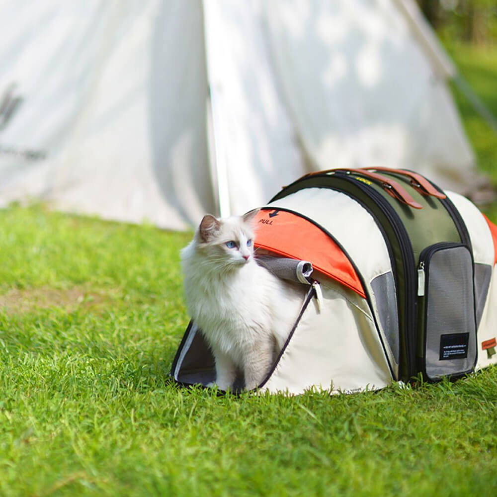 Tente de Camping pour Chat avec Sac à Dos Transformateur Pro