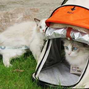 Tente de Camping pour Chat avec Sac à Dos Transformateur Pro