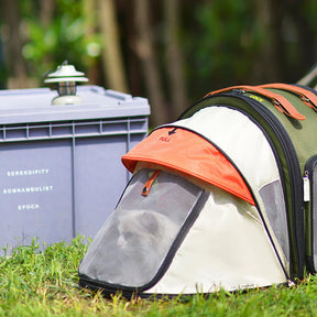 Tente de Camping pour Chat avec Sac à Dos Transformateur Pro