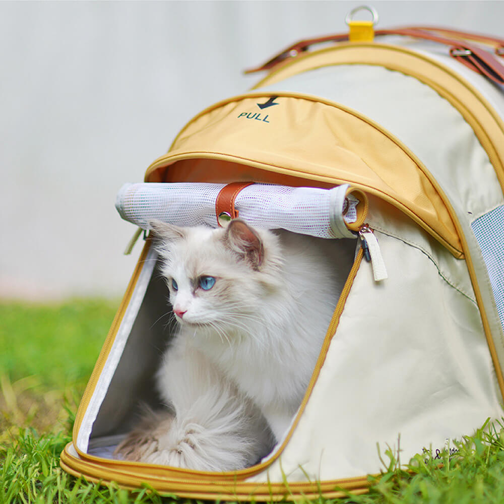 Tente de Camping pour Chat avec Sac à Dos Transformateur Pro