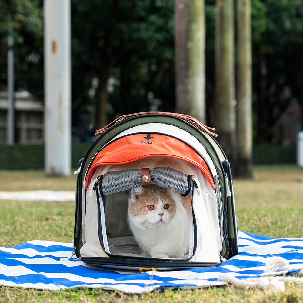 Tente de Camping pour Chat avec Sac à Dos Transformateur Pro