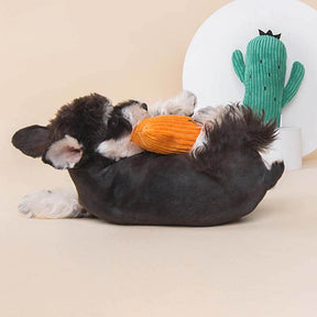 Ensemble de jouets en peluche grinçants pour chien- Cactus