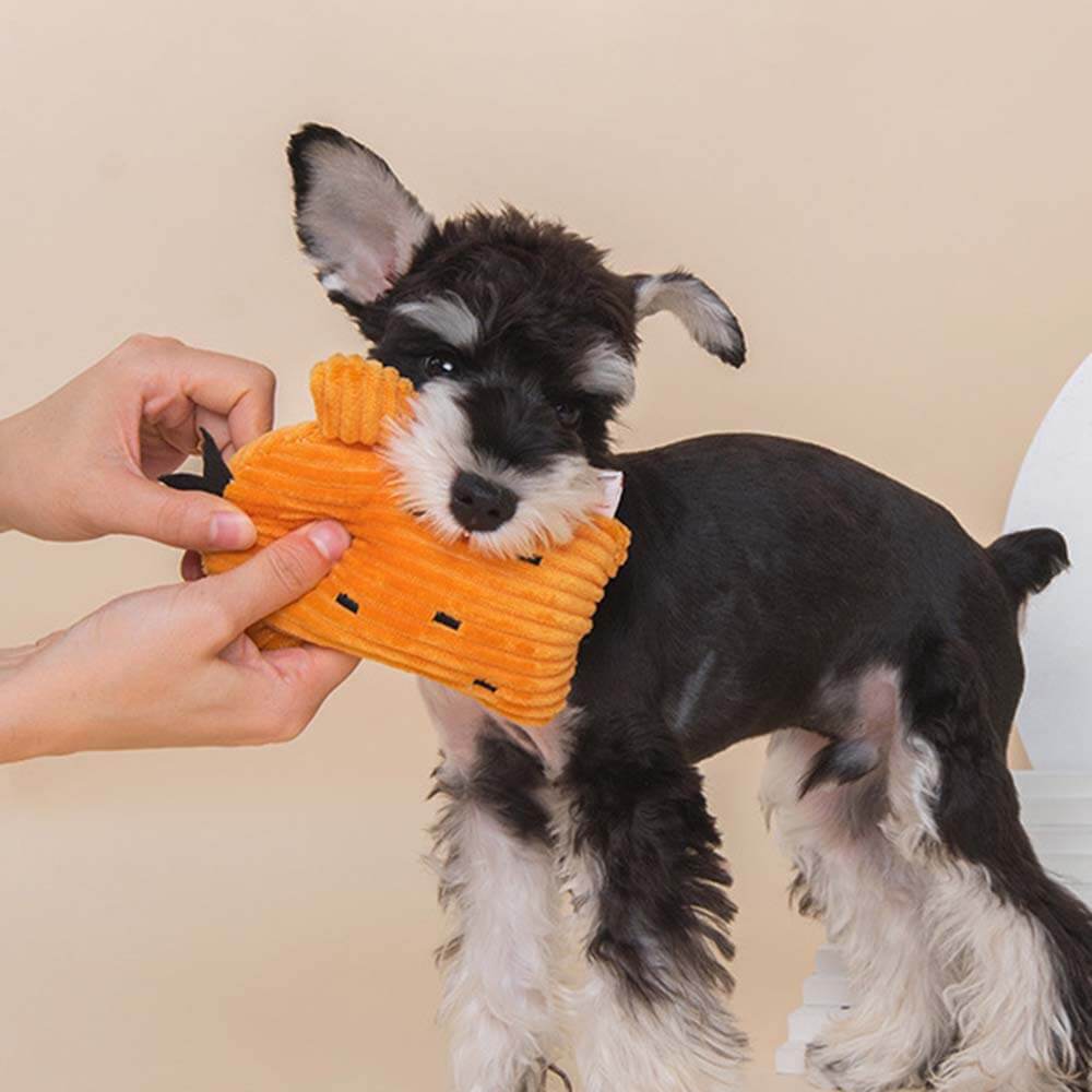 Ensemble de jouets en peluche grinçants pour chien- Cactus