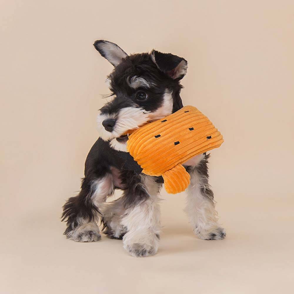 Ensemble de jouets en peluche grinçants pour chien- Cactus