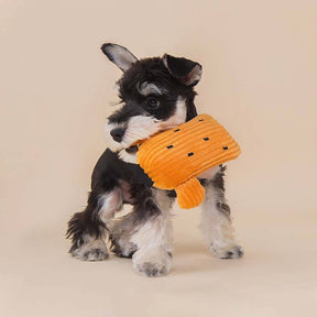 Ensemble de jouets en peluche grinçants pour chien- Cactus