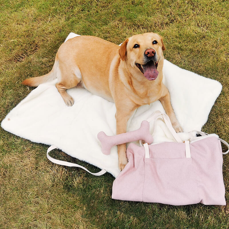 Tapis portable pour chien