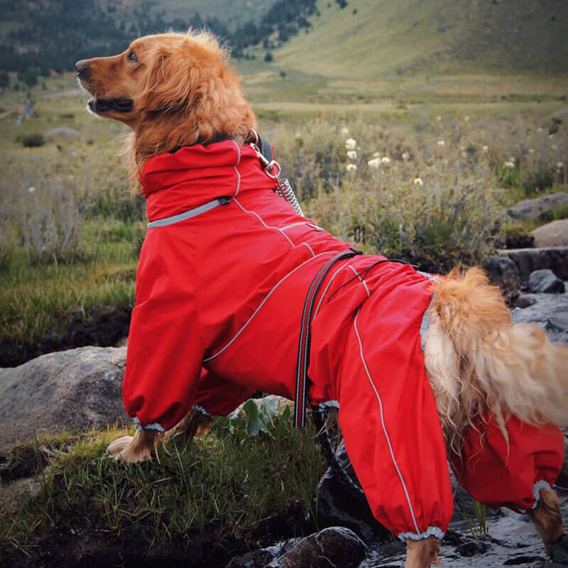 Manteau de pluie ajustable et imperméable pour grand chien