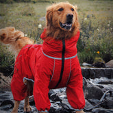 Manteau de pluie ajustable et imperméable pour grand chien