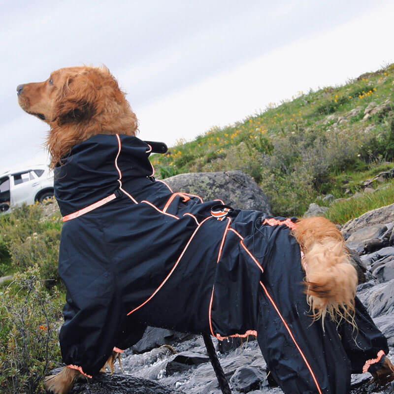 Manteau de pluie ajustable et imperméable pour grand chien