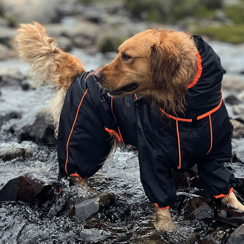 Manteau de pluie ajustable et imperméable pour grand chien