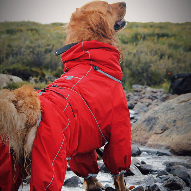 Manteau de pluie ajustable et imperméable pour grand chien