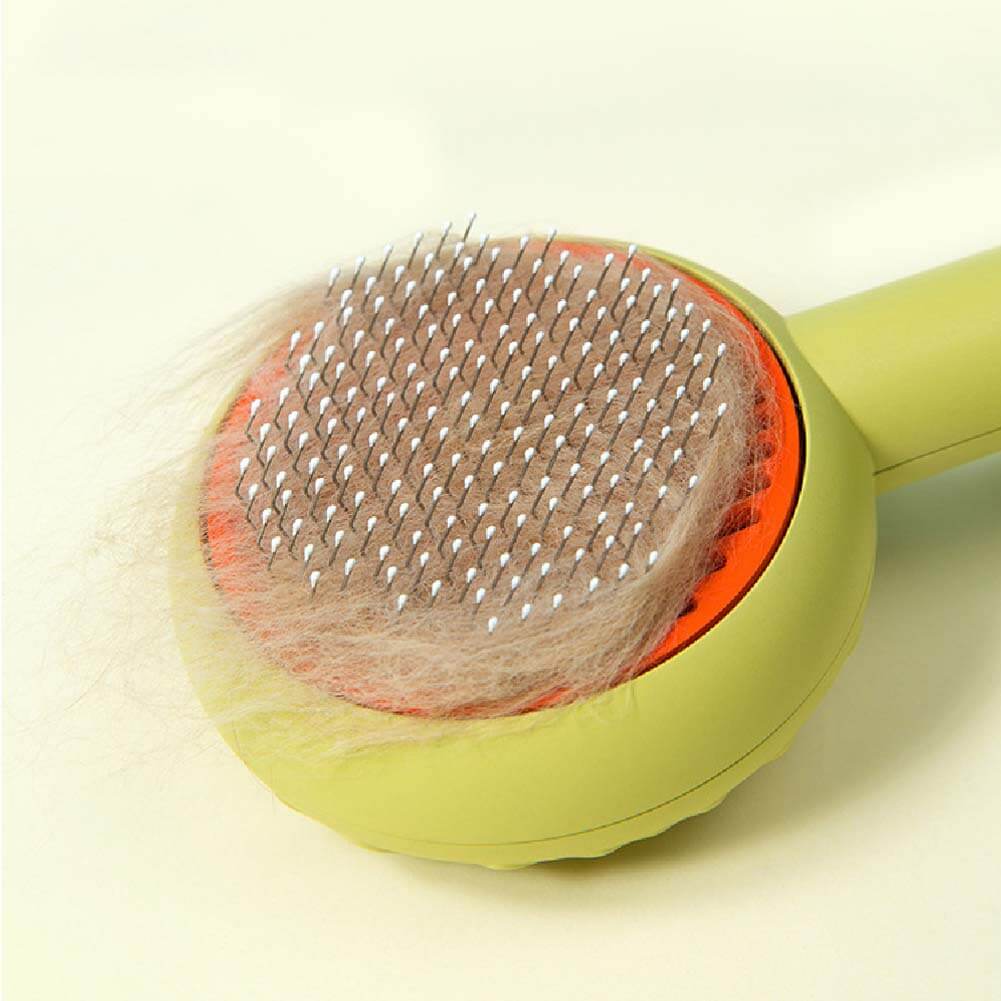 Brosse pour animaux - Beignet