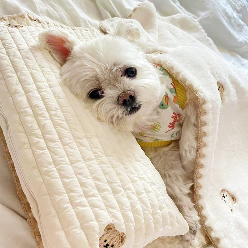 Ensemble de lits en coton brodé pour animaux de compagnie