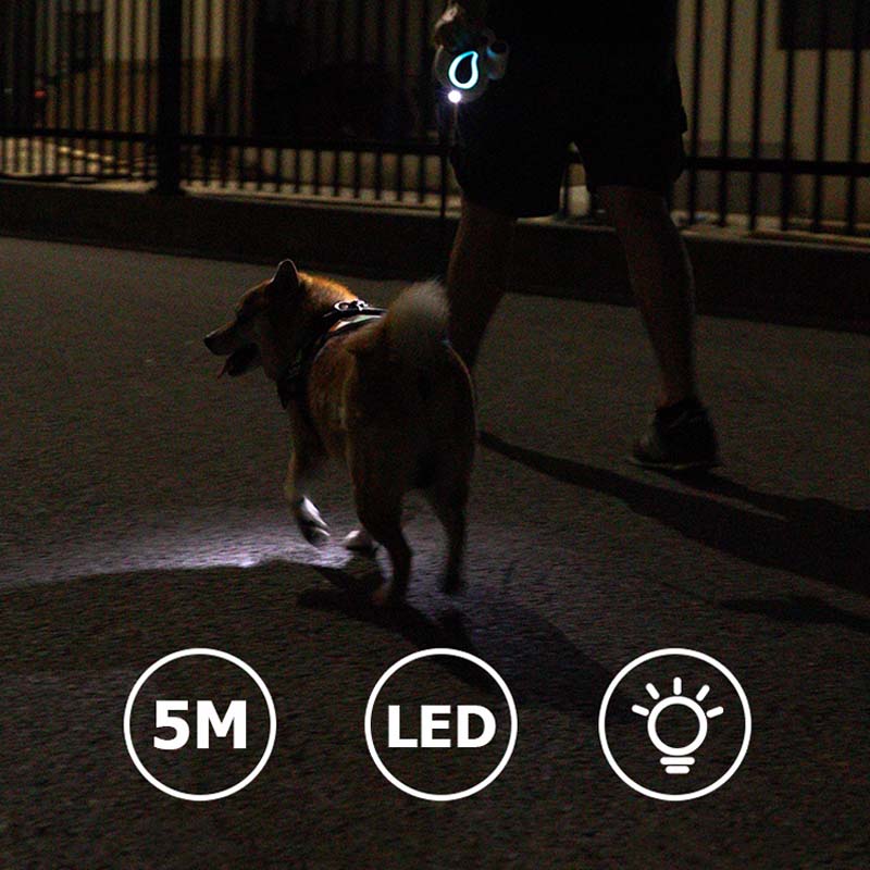 Laisse de dressage pour chien LED longue et rétractable