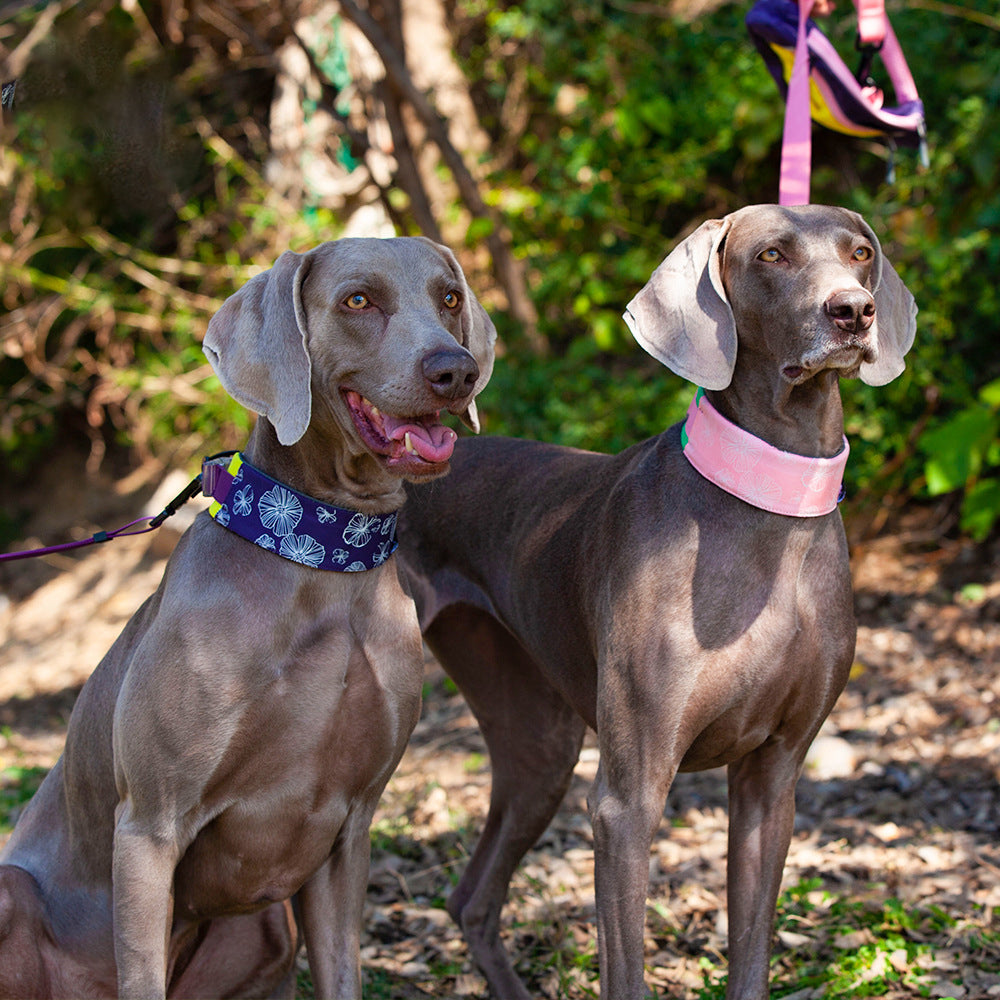 Collier pour chien élégant et confortable