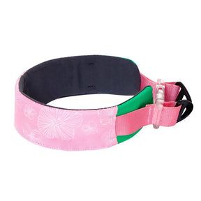 Collier pour chien élégant et confortable