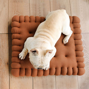 Lit pour chien - Biscuit