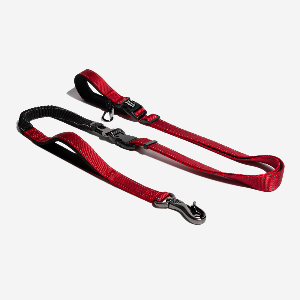 Laisse pour chien mains libres multifonction avec ceinture de sécurité