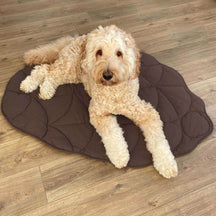 Couverture pour Chien en Forme de Feuille